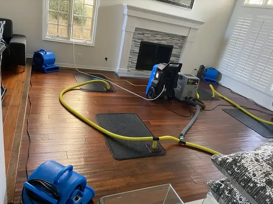 Extraction hose pulling standing water from a flooded Denham Springs floor